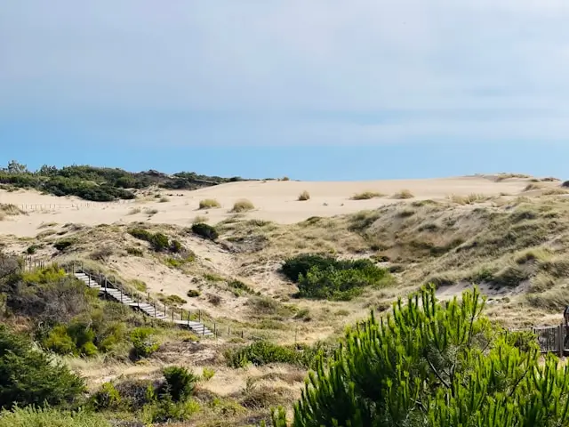 Dunes sur la plage de Guincho, à ne pas manquer lors de votre visite à Lisbonne en 4 jours.