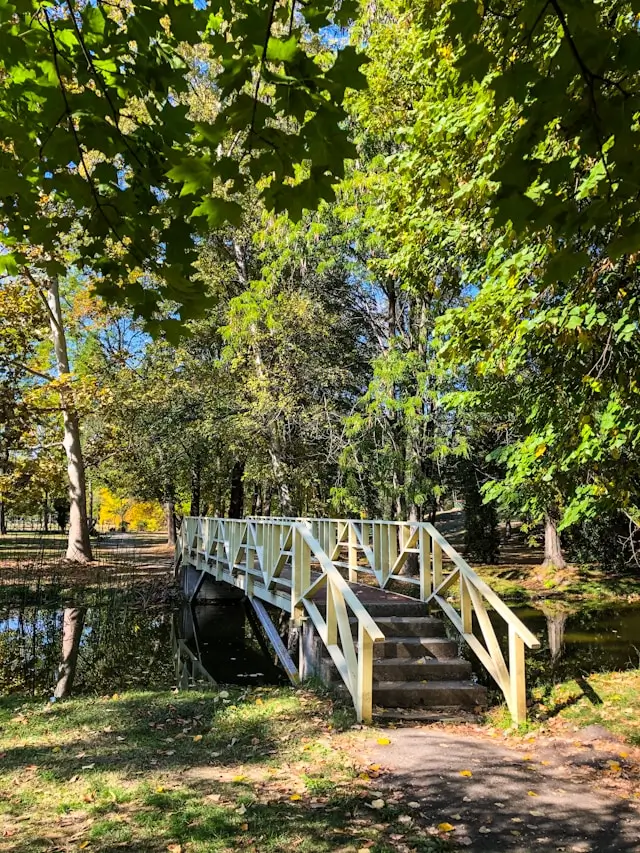 Small bridge in City Park, in Skopje city.