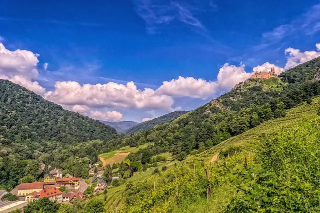 The beautiful landscape that you can have in the Vosges in summer.