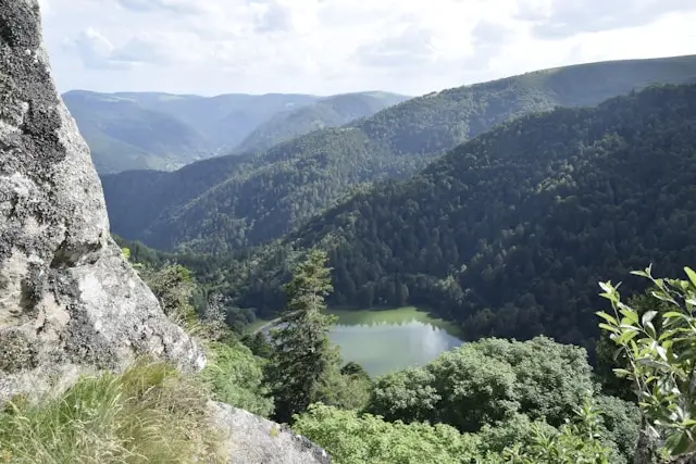 Preview image of the article entitled The Vosges in Summer: A Natural Paradise to Discover