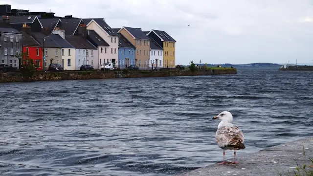 The relaxing city of Galway, a must-see during your road trip in Ireland.