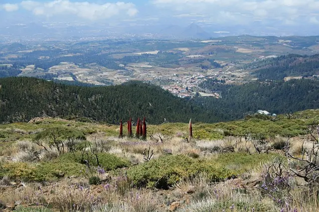 Teide National Park Tenerife hiking