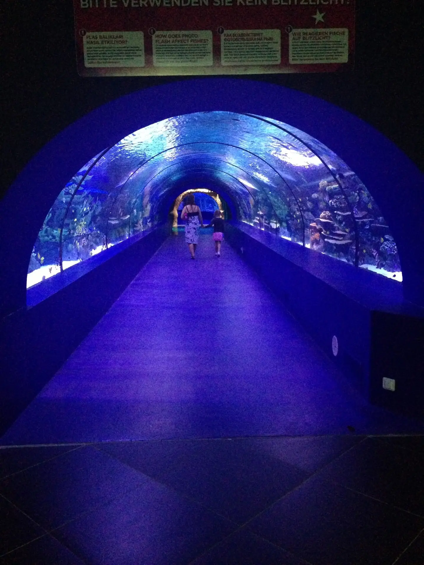 The famous ocean tunnel I was talking about.